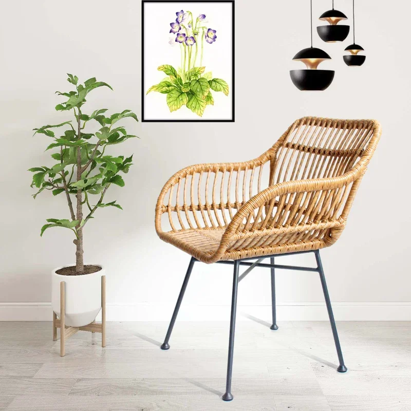 Nordische Esszimmerstühle für  – Outdoor Furniture Metal Chairs Bewertung und Preis