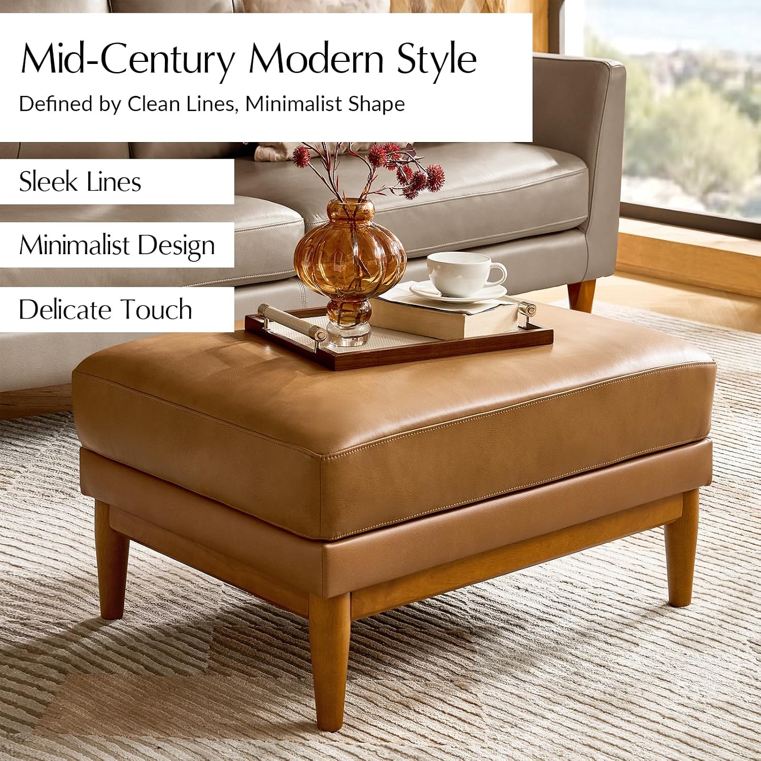 Echter Leder-Ottoman-Couchtisc – Outdoor Furniture Wood Bewertung und Preis